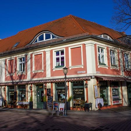 Cafe Alice & Pension Gmbh 波茨坦 外观 照片